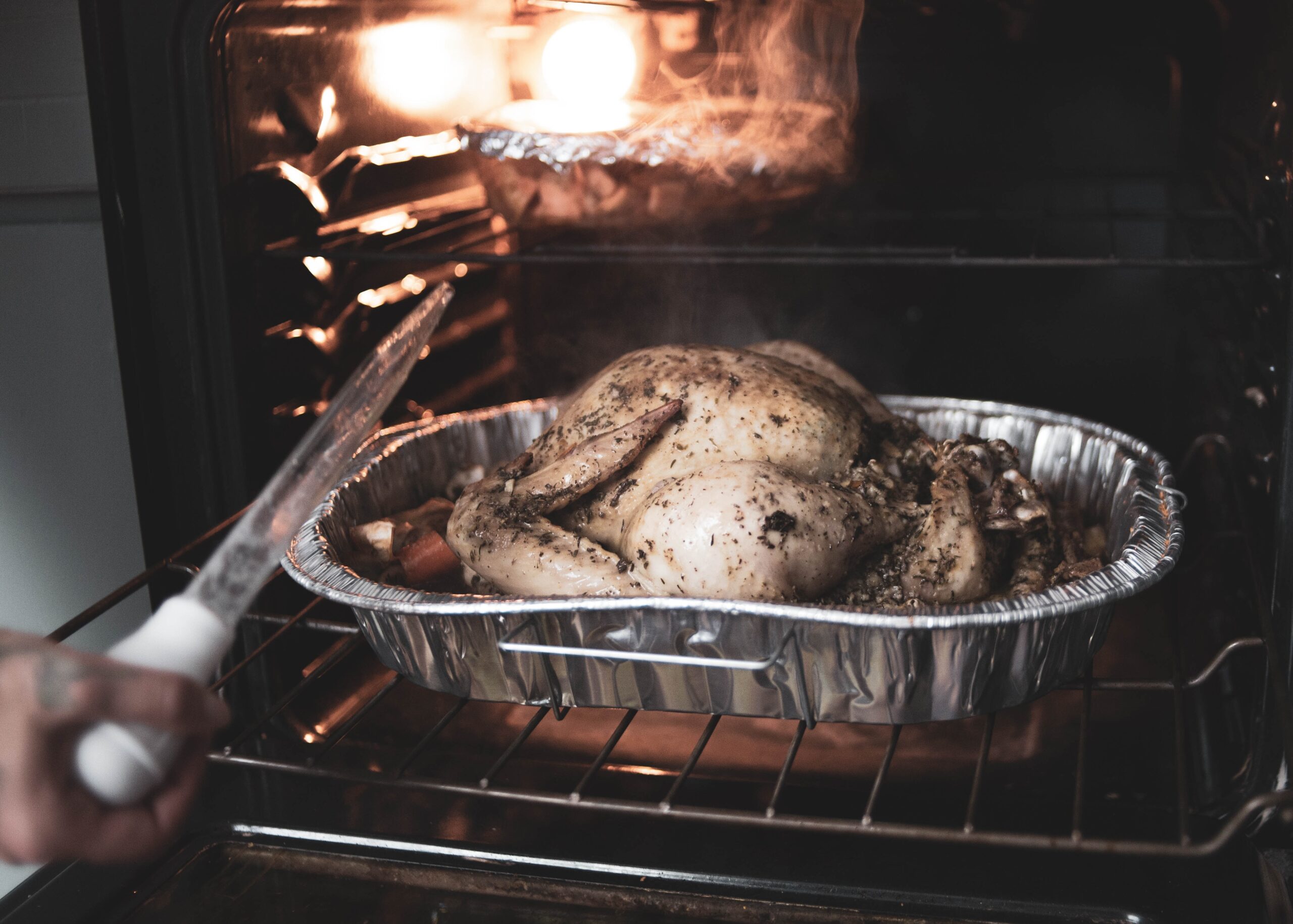 instant pot air fryer oven review